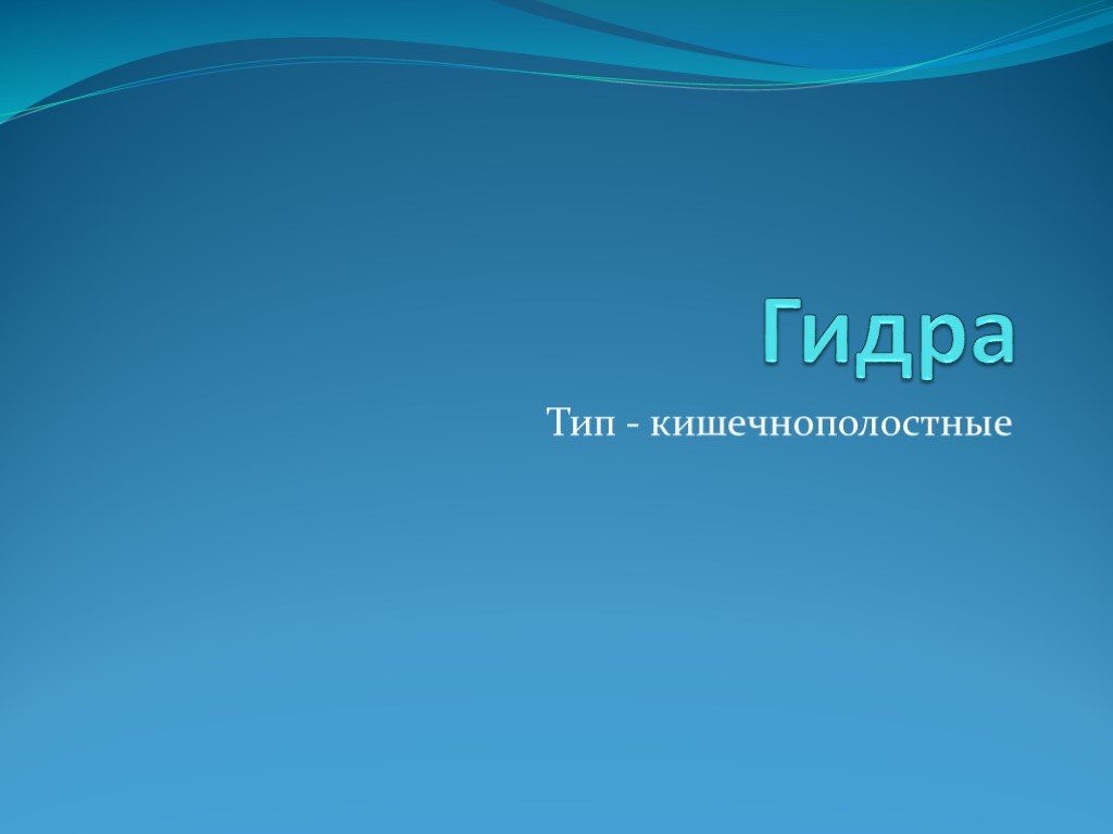 Кракен маркетплейс ссылка krakenat2krnkrnk com