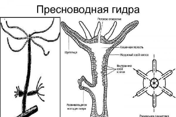 Kraken смылка