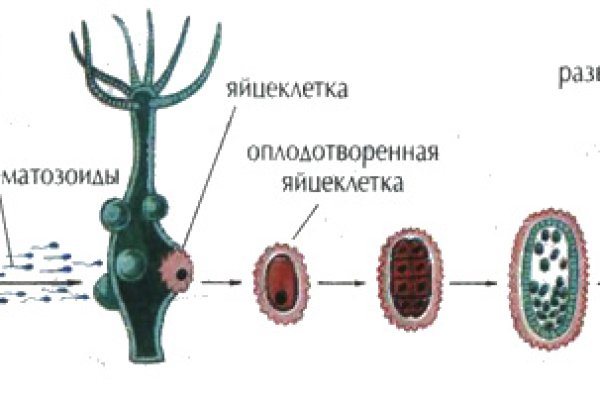 Kraken 2025 ссылка