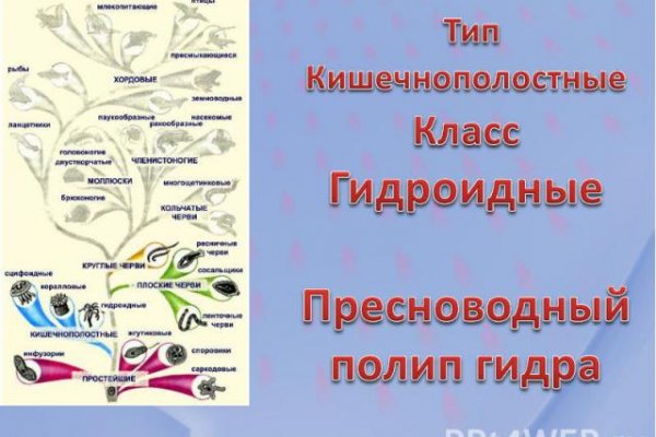 Даркнет каталог