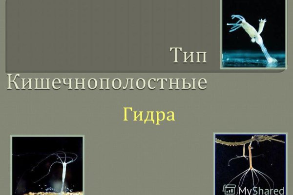 Кракен сайт 18