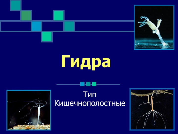 Кракен актуальные