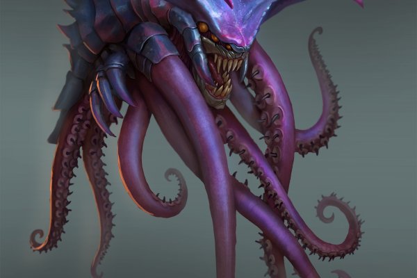 Kraken 24 at