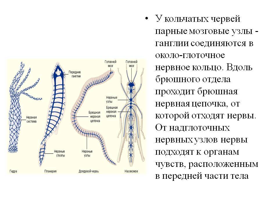 Кракен kr2link co