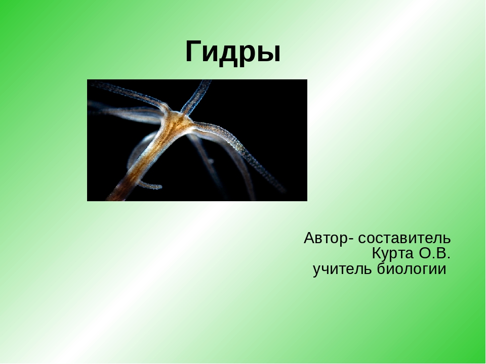 Кракен ссылка оригинал